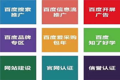 行业领先！某某sem推广公司助力某品牌实现业绩翻倍